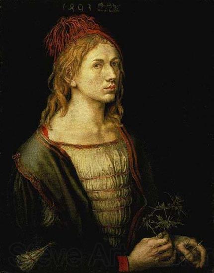 Albrecht Durer The earliest painted Self-Portrait (1493) by Albrecht Durer Norge oil painting art